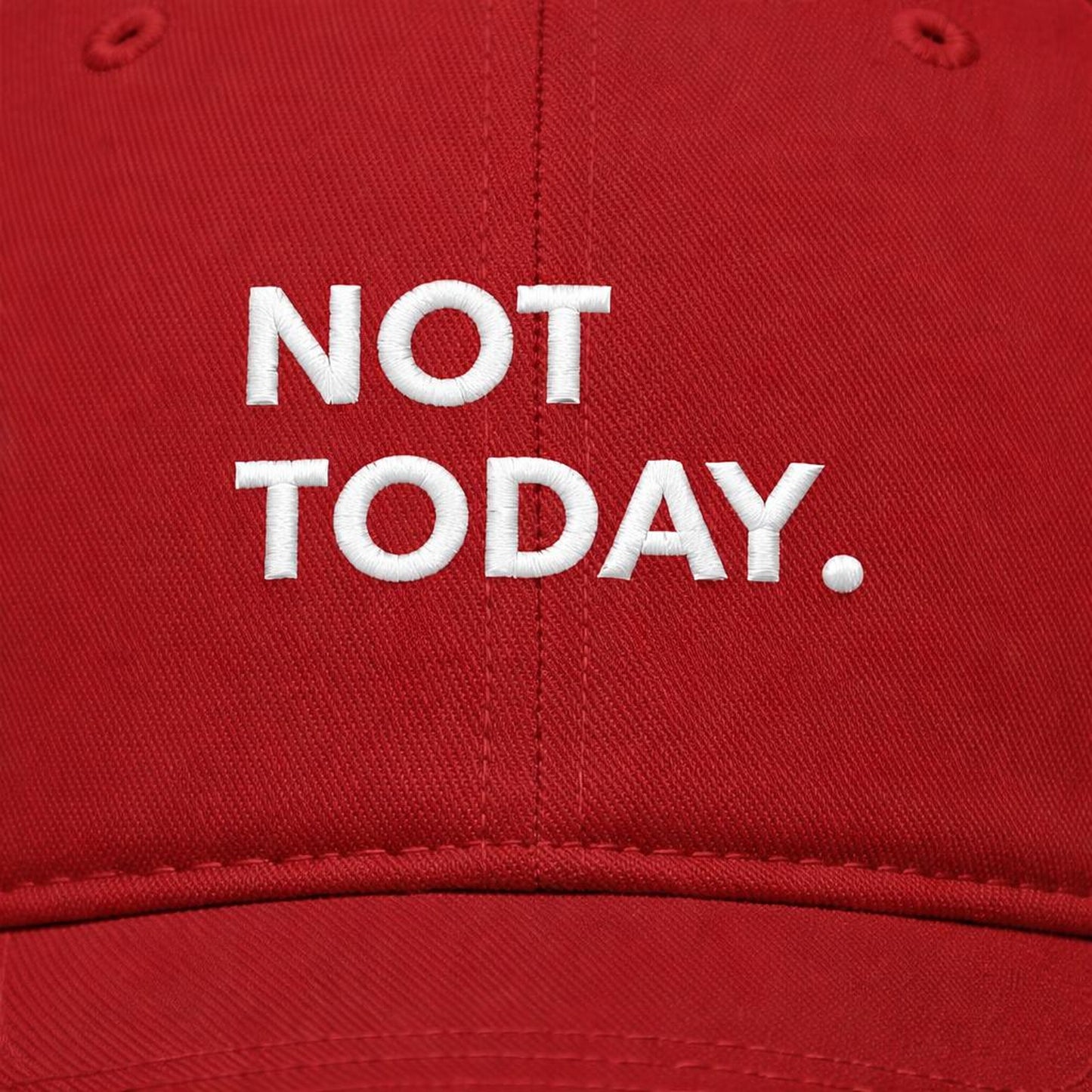 Not Today | Baseball Cap | Red Embroidered · lifestyle
