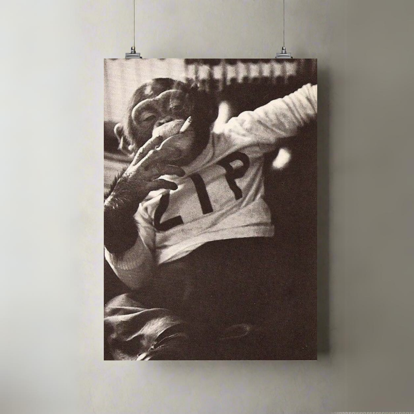 Smoking Chimp | Premium A3 Posters