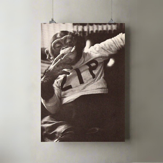 Smoking Chimp | Premium A3 Posters