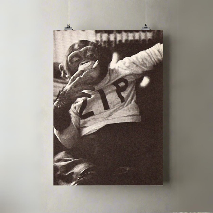Thoughtful Rebel | A3 Poster | Monochrome Attitude